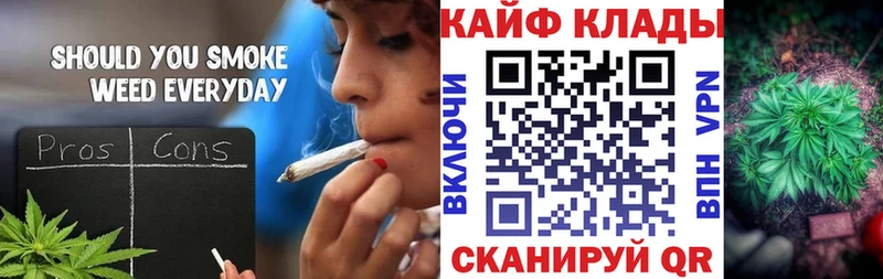 Что такое Ершов СК  Метадон  Псилоцибиновые грибы  МЕФ  Канабис  Гашиш  COCAIN 