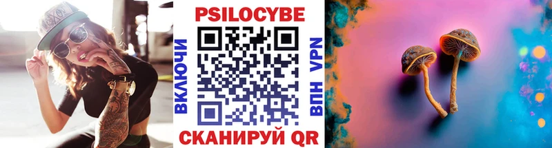 где купить наркоту Ершов Галлюциногенные грибы GOLDEN TEACHER